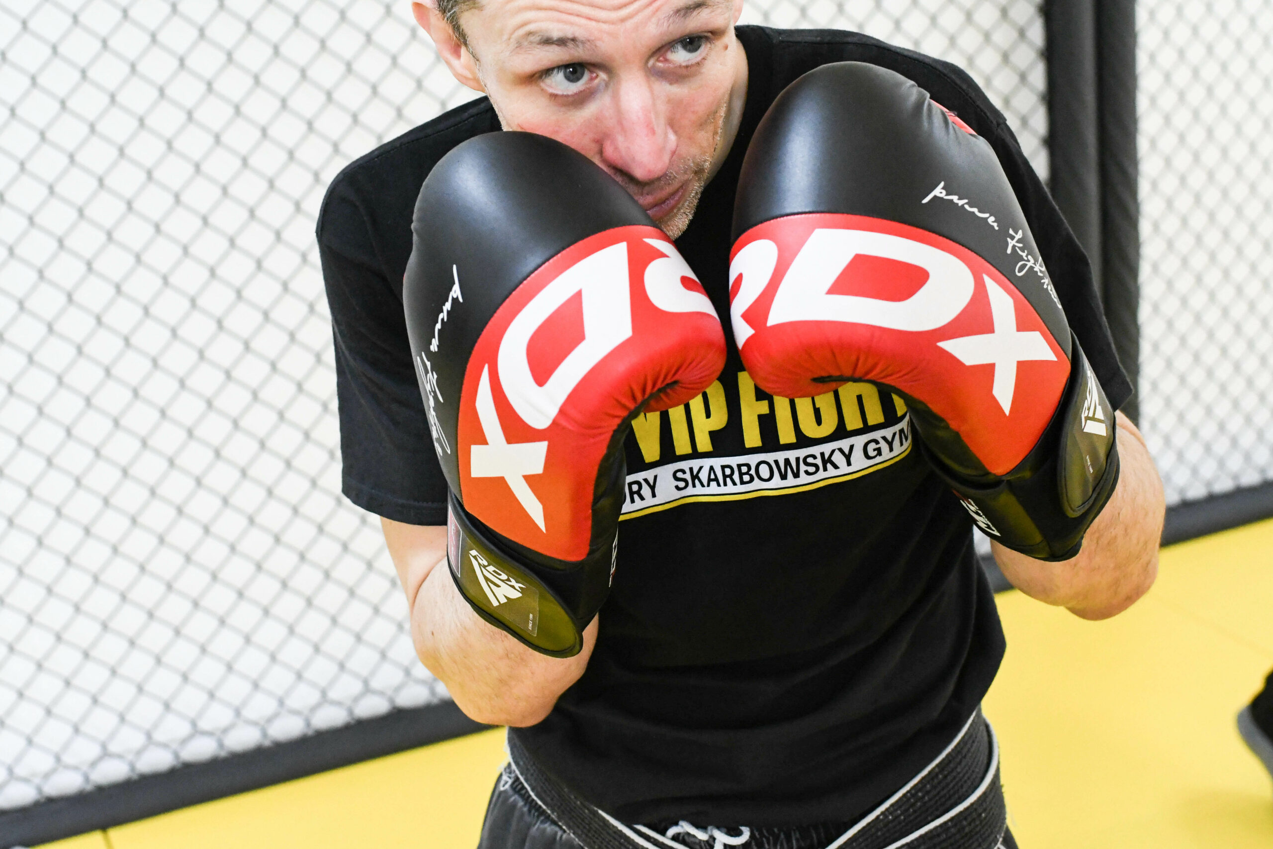 Boxe Anglaise Body VIP